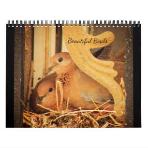 Beautiful Birds Calendar