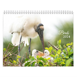 Beautiful Birds Calendar 2024