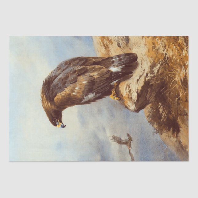 Beautiful Birds Golden Eagle Watercolor Decoupage Tissue Paper (Front)