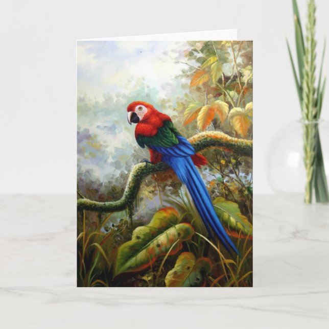 beautiful birds greeting cards 06 (Front)