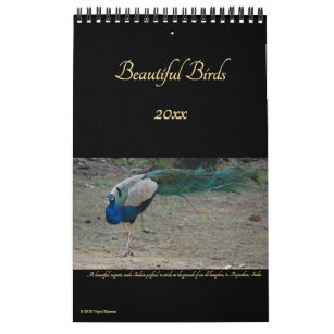 Beautiful Birds Nature Photography Birders 2024 Calendar