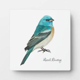 Beautiful Birds Plaque