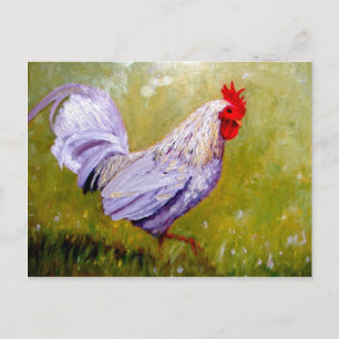 beautiful birds postcards 12