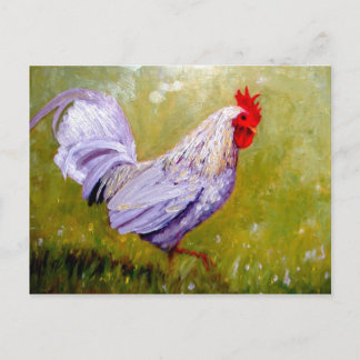 beautiful birds postcards 12