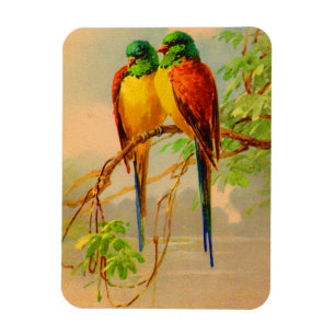beautiful birds print magnet