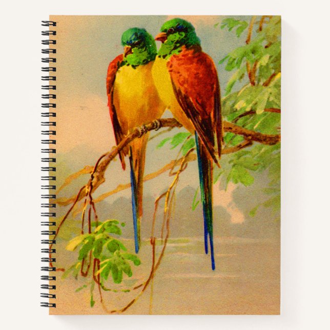 beautiful birds print notebook (Front)