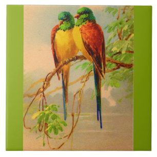 beautiful birds print tile