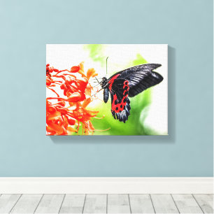 Beautiful Black and Red Butterfly Insects Nature Canvas Print
