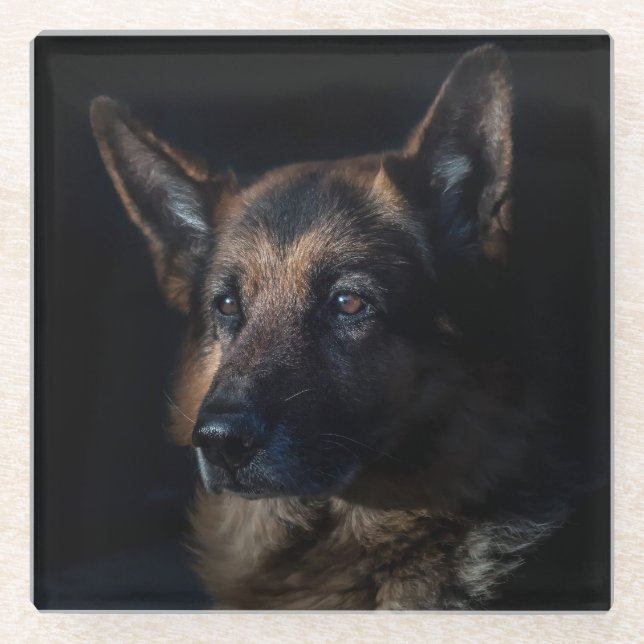 Beautiful Black and Tan German Shepherd Glass Coaster (Front)