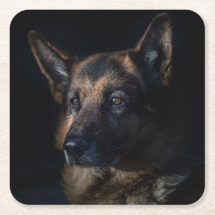 Beautiful Black and Tan German Shepherd Square Paper Coaster