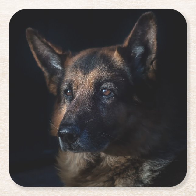 Beautiful Black and Tan German Shepherd Square Paper Coaster (Front)