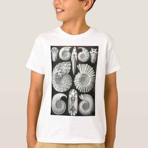 Image of Beautiful black and white ammonites pattern design T-shirt