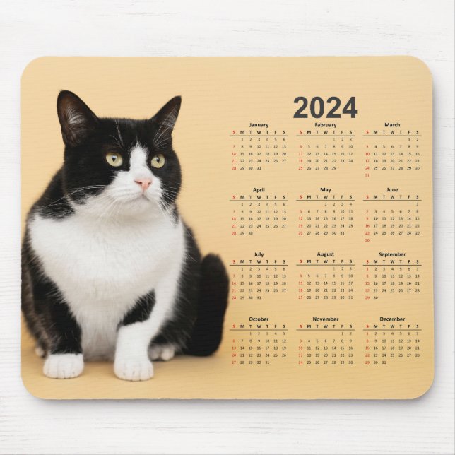 Beautiful Black and White Cat 2024 Calendar Mouse Mat (Front)