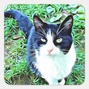 Beautiful Black and White Cat Stickers