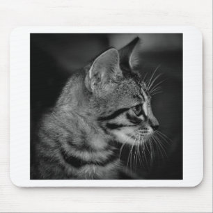 Beautiful Black and White Kitten Mouse Mat