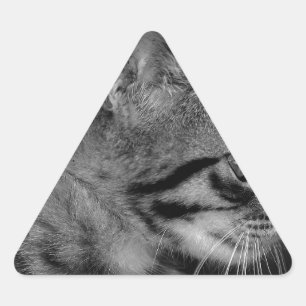 Beautiful Black and White Kitten Triangle Sticker
