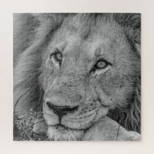Beautiful Black and White Lion Face Photo Jigsaw Puzzle