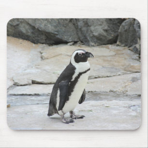 Beautiful Black and White Penguin on the Rocks Mouse Mat