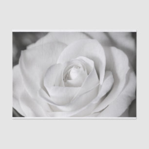 Beautiful Black and White Rose Tissue Paper