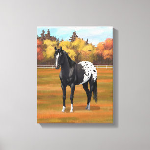Beautiful Black Appaloosa Quarter Horse Stallion Canvas Print