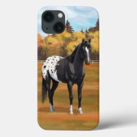 Beautiful Black Appaloosa Quarter Horse Stallion