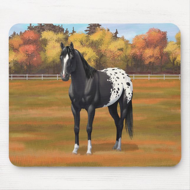 Beautiful Black Appaloosa Quarter Horse Stallion Mouse Mat (Front)
