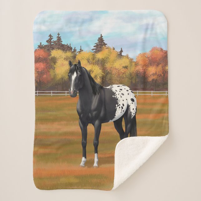 Beautiful Black Appaloosa Quarter Horse Stallion Sherpa Blanket (Front)