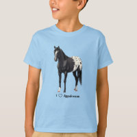 Beautiful Black Appaloosa Quarter Horse Stallion
