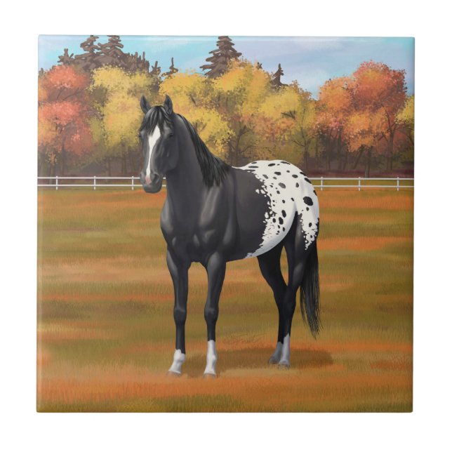 Beautiful Black Appaloosa Quarter Horse Stallion Tile (Front)