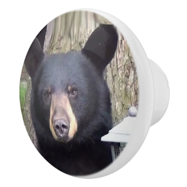 Beautiful Black Bear Ceramic Knob (Right)