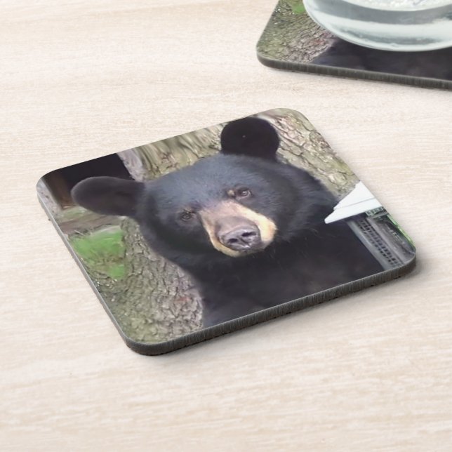 Beautiful Black Bear Coaster (Left Side)