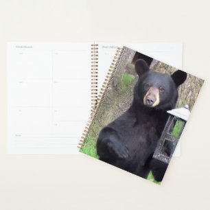 Beautiful Black Bear Planner