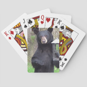 Beautiful Black Bear Playing Cards
