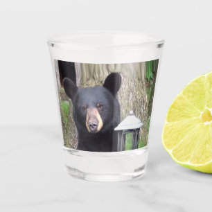 Beautiful Black Bear Shot Glass