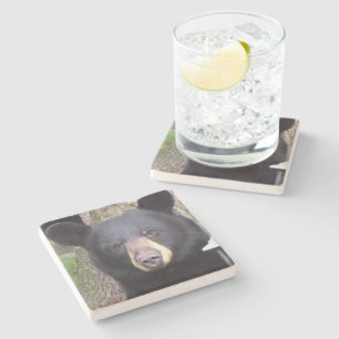 Beautiful Black Bear Stone Coaster