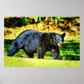 Beautiful Black Bear Wildlife Watercolor Paintings Poster