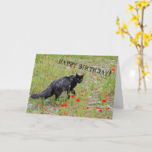 Beautiful Black Cat Birthday Card! Card