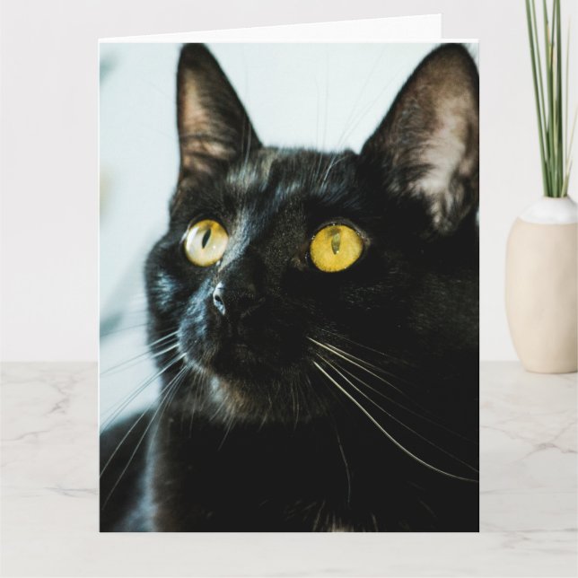 beautiful black cat large blank greeting card (Front)