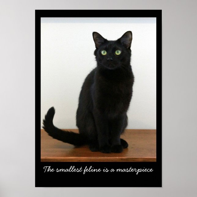 Beautiful Black Cat Poster (Front)