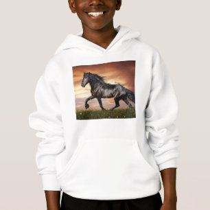 Beautiful Black Horse