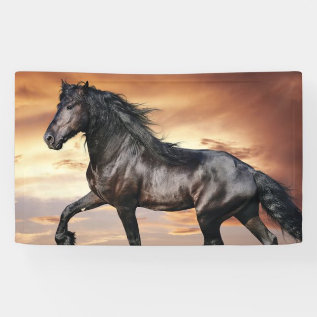 Beautiful Black Horse Banner (Horizontal)