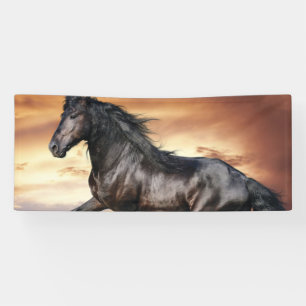 Beautiful Black Horse Banner