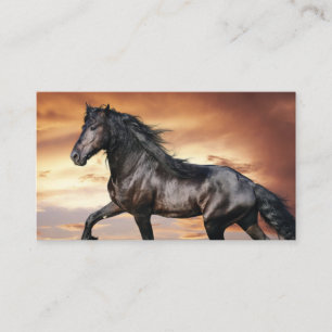 Beautiful Black Horse Business Card