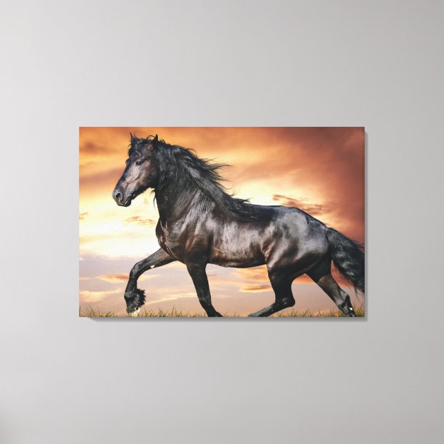 Beautiful Black Horse Canvas Print (Front)