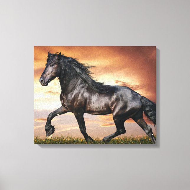 Beautiful Black Horse Canvas Print (Front)