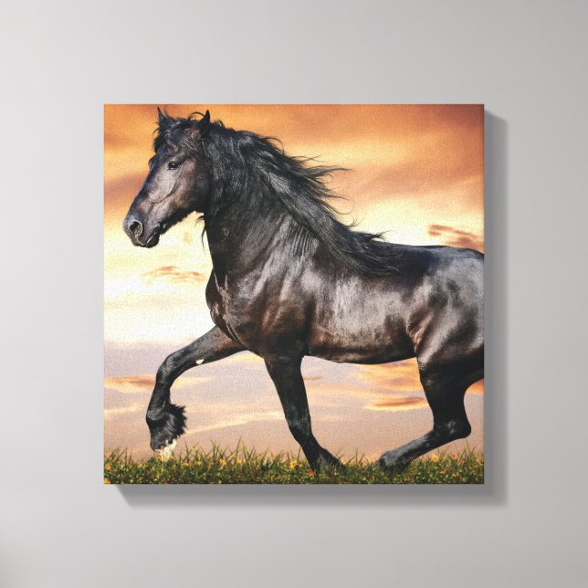 Beautiful Black Horse Canvas Print (Front)