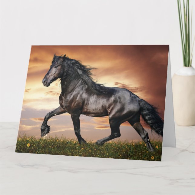 Beautiful Black Horse Card (Front)