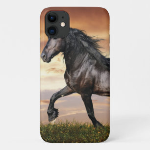 Beautiful Black Horse iPhone 11 Case