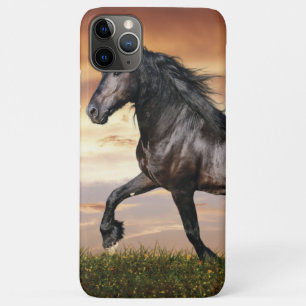 Beautiful Black Horse iPhone 11 Pro Max Case