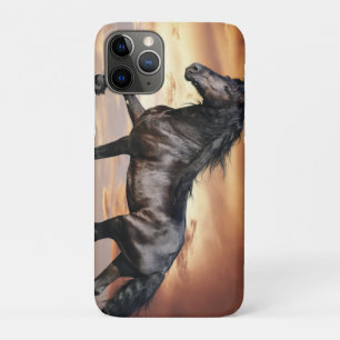 Beautiful Black Horse iPhone 11 Pro Case